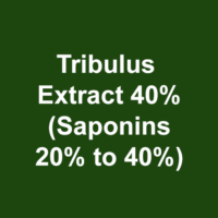 Tribulus Extract 40% (Saponins 20% to 40%)