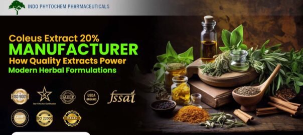 Coleus extract 20% manufacturer