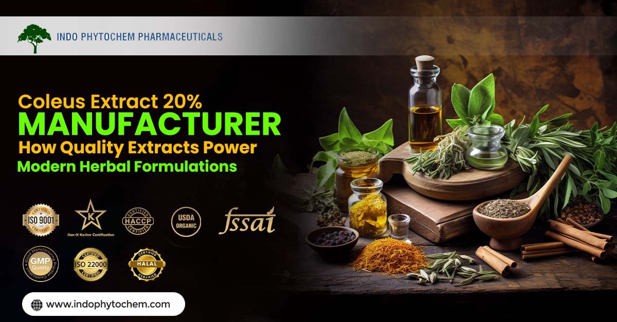 Coleus extract 20% manufacturer