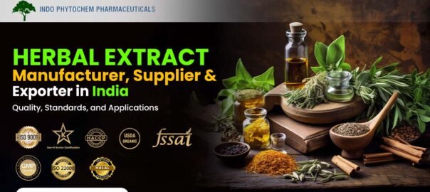 Herbal Extract Manufacturer in India