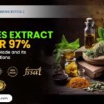 Berberies Extract Powder 97% Manufacturers