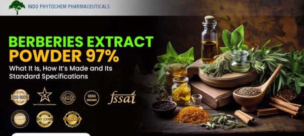 Berberies Extract Powder 97% Manufacturers
