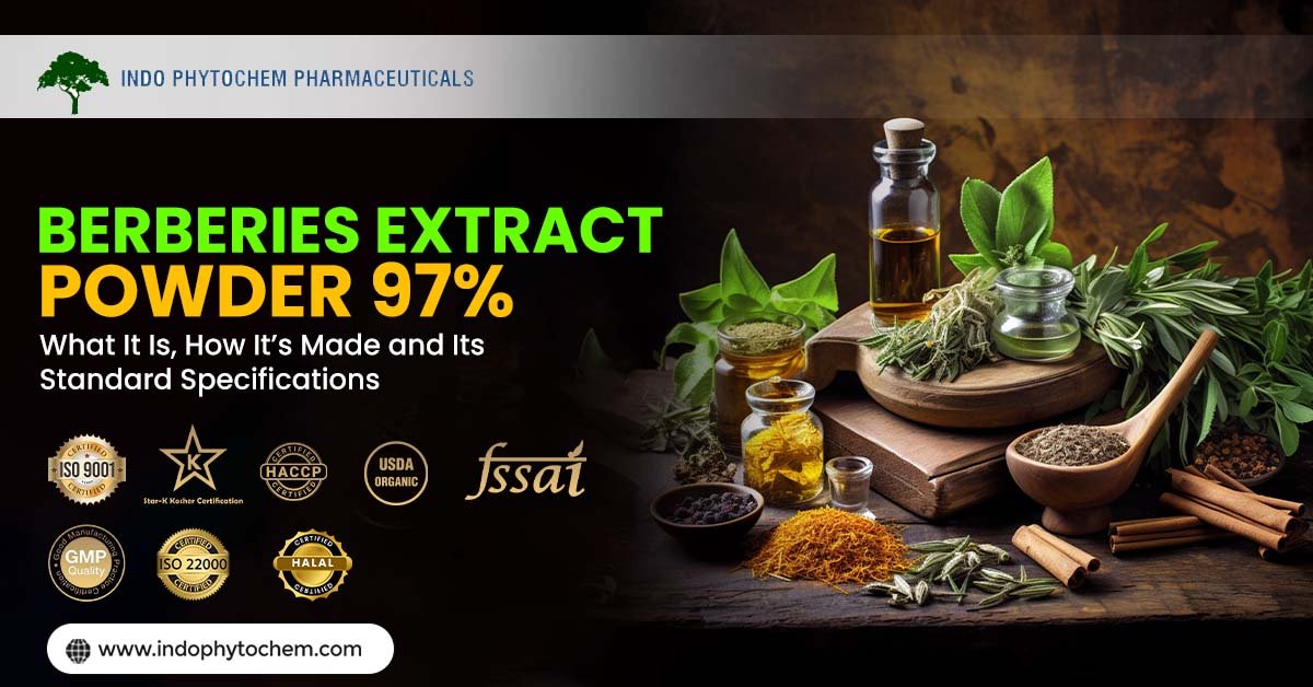Berberies Extract Powder 97% Manufacturers