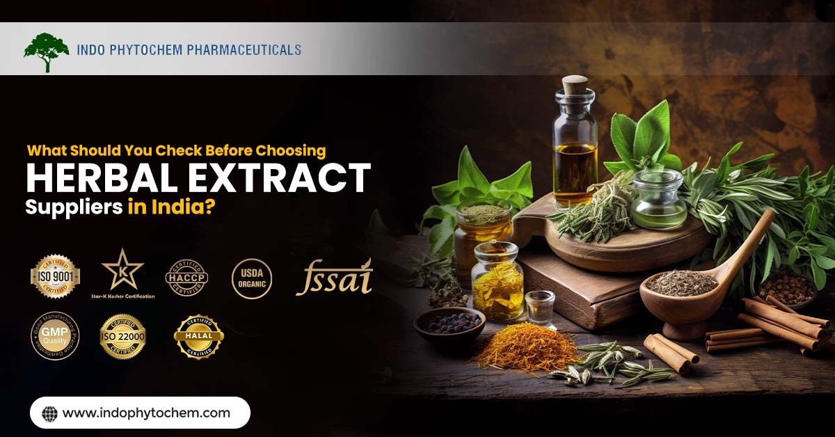 Senna Extract Manufacturer in China