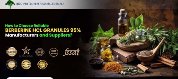 Berberine HCL Granules 95% Manufacturers