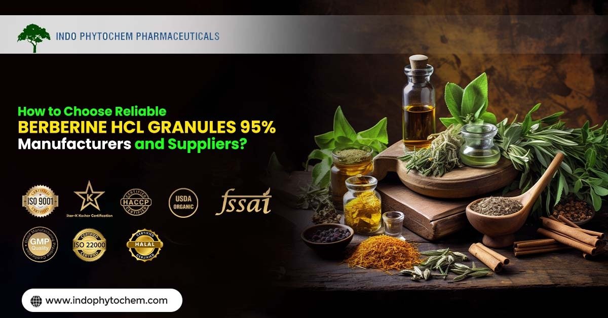 Berberine HCL Granules 95% Manufacturers