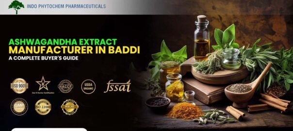 Ashwagandha Extract Manufacturer in Baddi