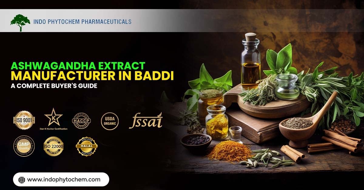 Ashwagandha Extract Manufacturer in Baddi