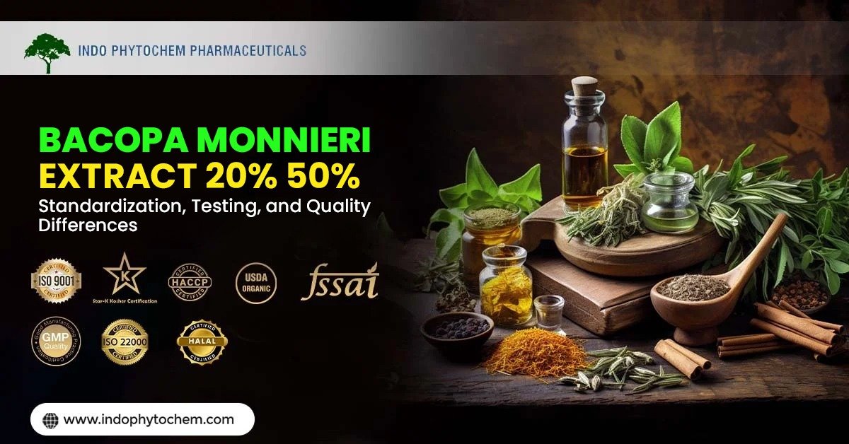 Bacopa Monnieri Extract 20%,50% Manufacturers